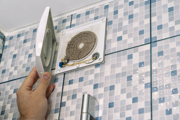 Best Home Air Vent Cleaning  in Peoria, IL